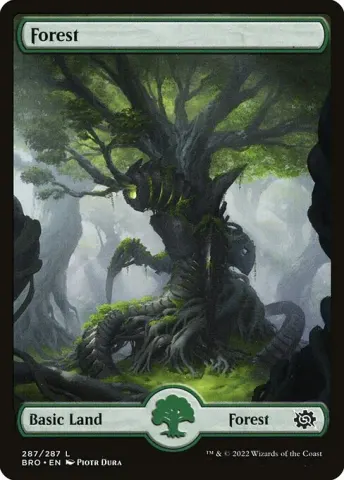 Forest · 287