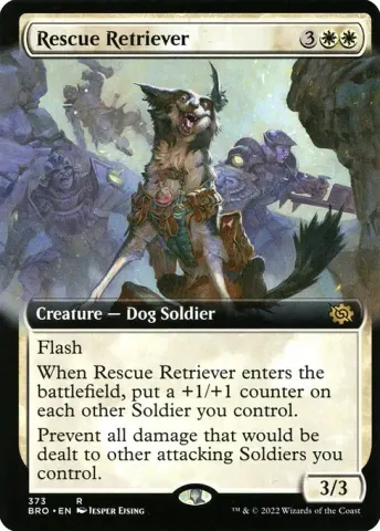 Rescue Retriever · 373