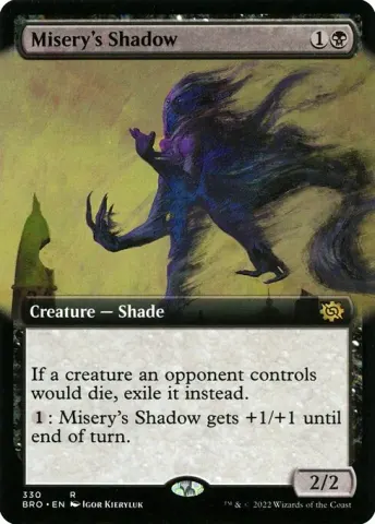 Misery's Shadow · 330