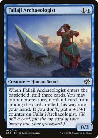 Fallaji Archaeologist · 48