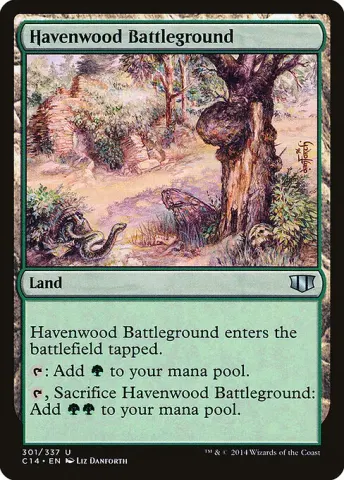 Havenwood Battleground · 301