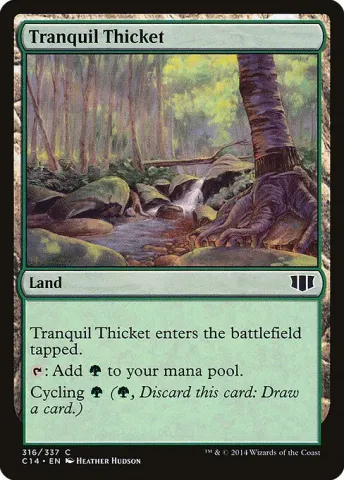Tranquil Thicket · 316