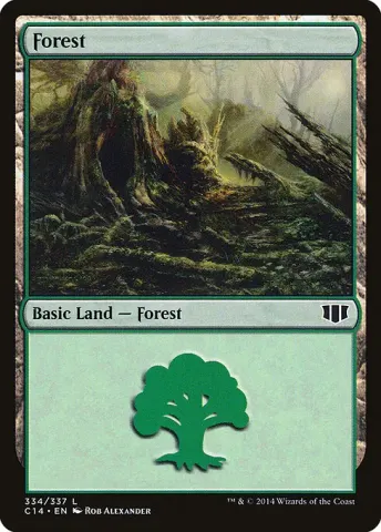 Forest · 334