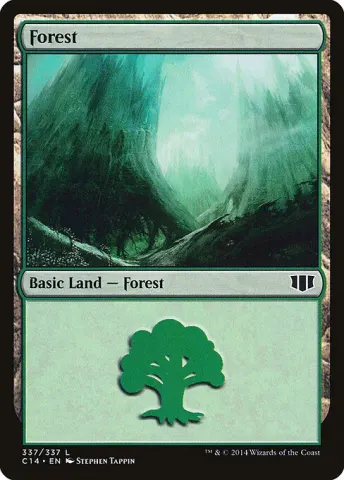 Forest · 337
