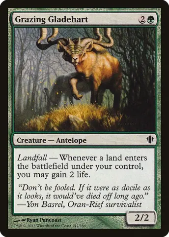 Grazing Gladehart · 147