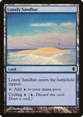 Lonely Sandbar · 305