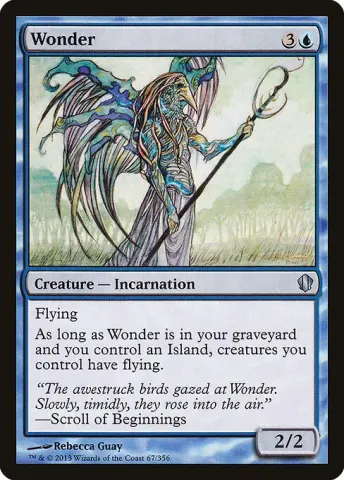 Wonder · 67