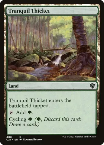 Tranquil Thicket · 408