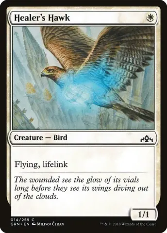 Healer's Hawk · 14