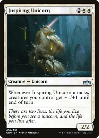Inspiring Unicorn · 16
