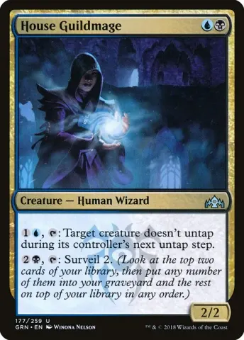 House Guildmage · 177