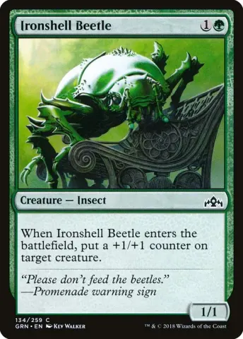 Ironshell Beetle · 134