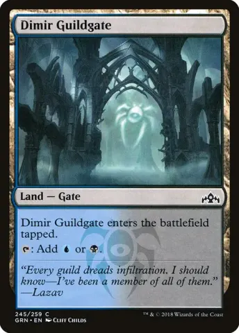 Dimir Guildgate · 245