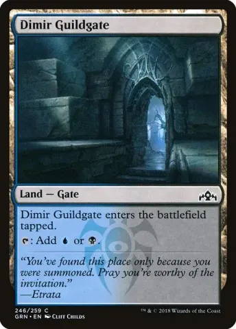 Dimir Guildgate · 246