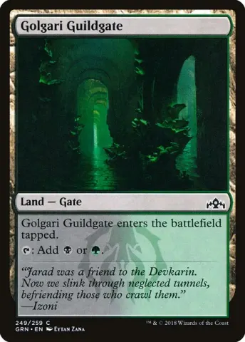 Golgari Guildgate · 249