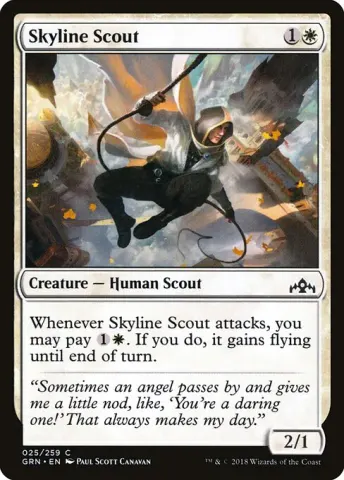 Skyline Scout · 25