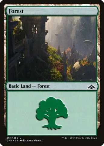 Forest · 264