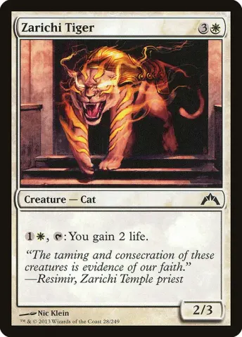 Zarichi Tiger · 28