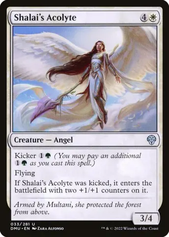 Shalai's Acolyte · 33