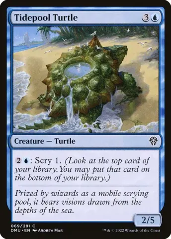 Tidepool Turtle · 69