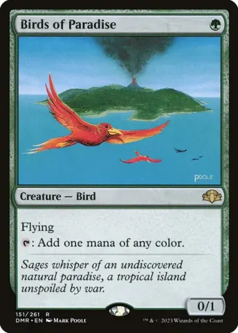 Birds of Paradise · 151