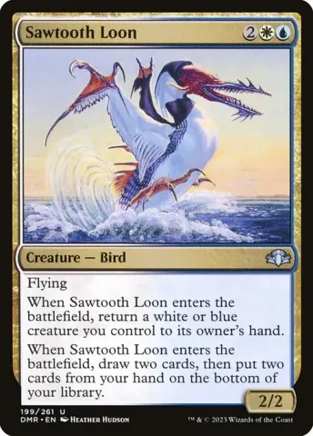 Sawtooth Loon · 199