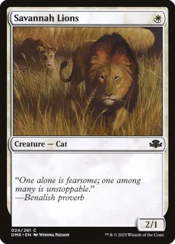 Savannah Lions · 24