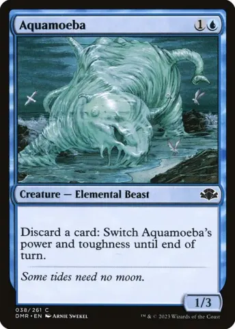 Aquamoeba · 38