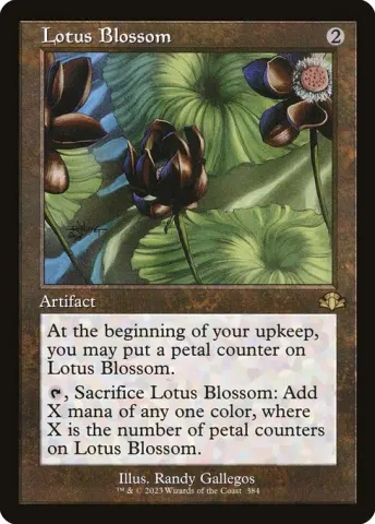 Lotus Blossom · 384