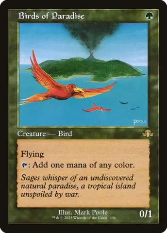 Birds of Paradise · 336
