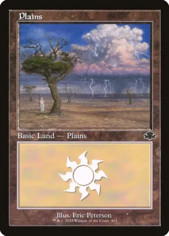 Plains · 403