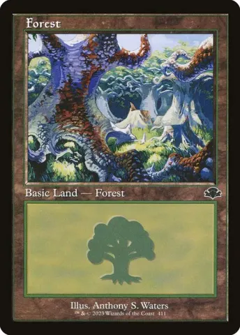 Forest · 411