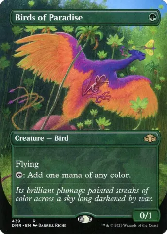 Birds of Paradise · 439