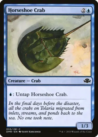 Horseshoe Crab · 55