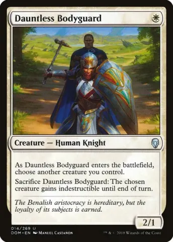 Dauntless Bodyguard · 14