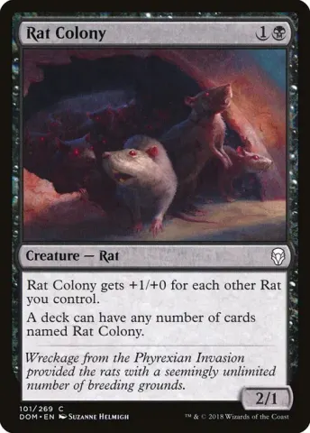 Rat Colony · 101