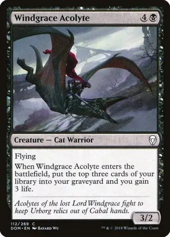 Windgrace Acolyte · 112