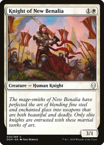 Knight of New Benalia · 24