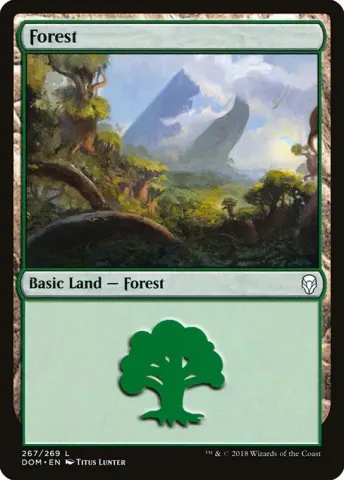 Forest · 267