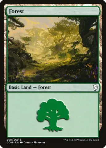 Forest · 268