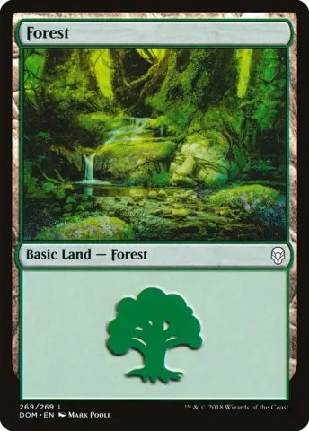 Forest · 269