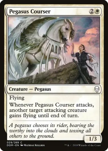 Pegasus Courser · 29