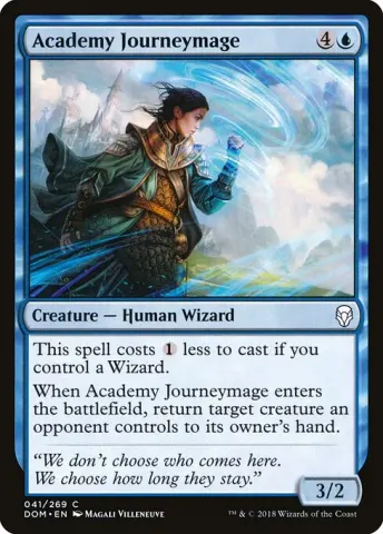 Academy Journeymage · 41