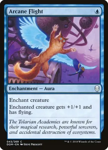 Arcane Flight · 43