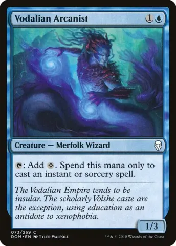 Vodalian Arcanist · 73