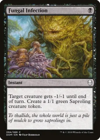 Fungal Infection · 94