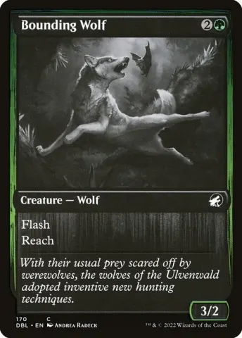 Bounding Wolf · 170