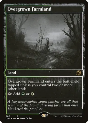 Overgrown Farmland · 265