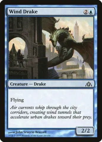 Wind Drake · 20