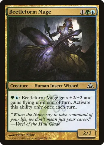 Beetleform Mage · 54